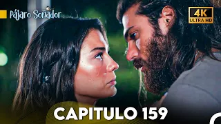 Pájaro Soñador Capítulo 159 (Doblado En Español 4K)