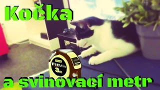 Kočka a svinovací metr)))