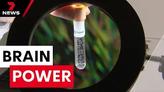 Australian scientists have created mini human brains, it could end animal testing | 7 News Australia