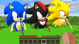 NEW SECRET STAIRS TO HOUSE SONIC vs SUPER SONIC VS SHADOW SONIC Compilation in Minecraft Animation