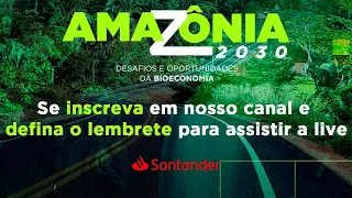 5º webinário : Infraestrutura: eficiência e destruição | Amazônia 2030