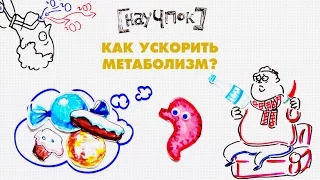 Как ускорить метаболизм? — Научпок