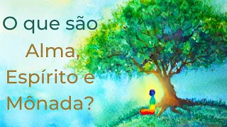 Trigueirinho | O que são Alma, Espírito e Mônada?