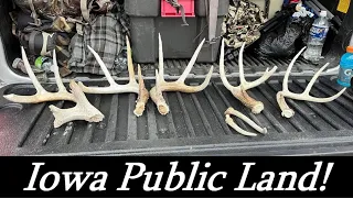 Iowa Public Land Shed Hunting 2022 #shedhunting #publicland