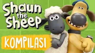 Full Episodes Compilation 1-4 | Shaun the Sheep Season 5