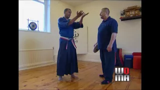 Goju Ryu KARATE Chris Rowen Hard & Soft Techniques