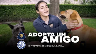 Adopta un amigo