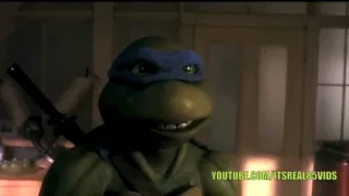 Nigga Turtles Episode #1