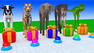 Choose The Right Gift Box Run Game With Cow Elephant Gorilla Buffalo Pig Dinosaur Wild Animals Games