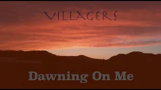 Villagers - Dawning On Me - acoustic live cover (There's Real birds singing!)