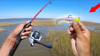 Catching BIG Saltwater Fish in SHALLOW water!! (Epic Fishing)