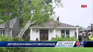 Trees down on homes in Jefferson Parish