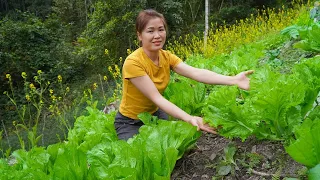 Harvest sweet potatoes in the garden, replace rice husks for chicks. Building farm, Free Life ep160