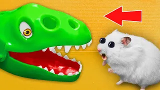🐉 Dragon - Hamster Maze with Traps ☠️[OBSTACLE COURSE]