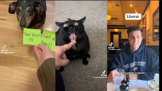 random tiktok compilation for when u got Pete the cat books from a library