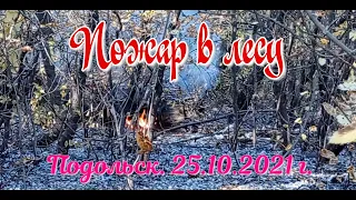 Подольск.  Пожар в лесу на Черемушках.  25/ 10/ 2021 г.