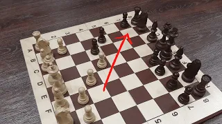 Шахматные ЛОВУШКИ из РЕАЛЬНЫХ партий |  Шахматные комбинации | Шахматные уроки  Ч.5