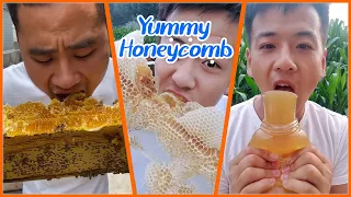 ABS Honey BEE | Best HoneyComb Eating ASMR | Eating Videos🎖️14