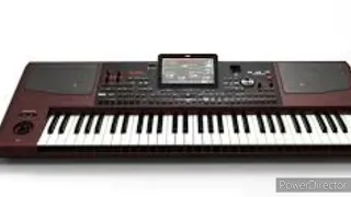 KORG Pa1000 - TLAKY