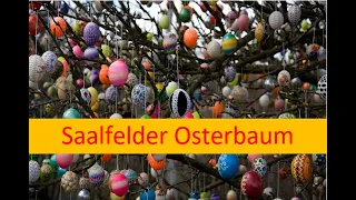 Ostereierbaum Saalfeld #Ostereierbaum #Saalfeld #Thüringen