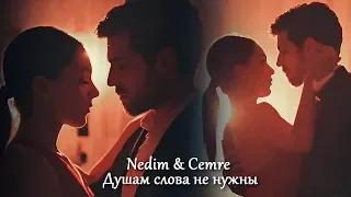 Nedim & Cemre - Душам слова не нужны