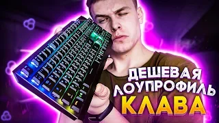 Самая доступная низкопрофильная механическая клавиатура! Поясняю за MSI Vigor GK50 Low Profile