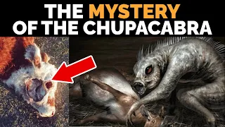 The Origin of the CHUPACABRA in History