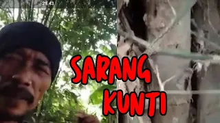 Kahirupan dikolong awi-YANG KETEMU MALAH BAMBU UNIK