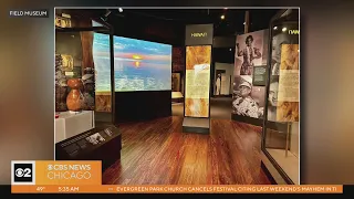 Field Museum's new hula exhibit opens publicly starting Friday