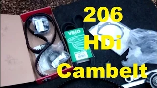 HOW TO: Peugeot 206 2.0 HDi turbo diesel Cambelt change including waterpump (timing belt)