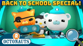 ​@Octonauts -  Learn About Sea Creatures | Back to School Special! 🎒🚌 | 60 Mins+ Compilation