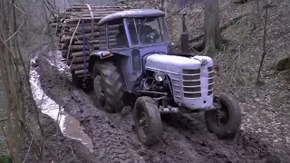 Tractor Zetor 3011 in action - logging wood - Year of manufacture 1962