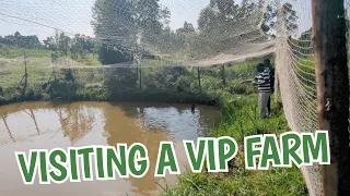 Visitng a VIP farm!