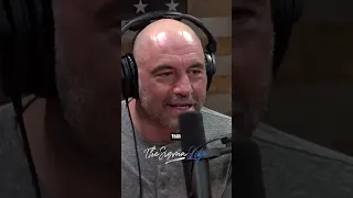 Joe Rogan on Horrific Alligator Attacks