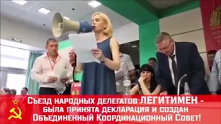 V Съезд граждан СССР 9 июня 2019 года  провокаторы против народа