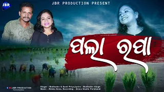 New Koraputia Desia Song Pola Ropa ପଲା ରପା ||Singer Budhadev Singh||