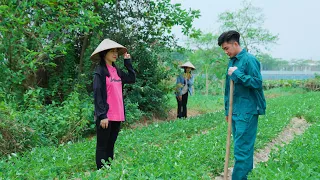 CHỦ TỊCH THUÊ GÁI XINH VỀ QUÊ RA MẮT ĐỂ LỪA CHỊ GÁI VÀ CÁI KẾT | CƠM ÁO GẠO TIỀN TẬP 881