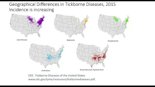 Update on the Laboratory Diagnosis of Lyme and Other Tick borne Diseases TBDs