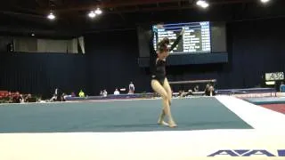 Alexis Beucler -- Floor -- 2012 U.S. Secret Classic