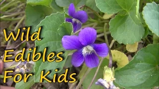 6 Wild Edible Plants For Kids