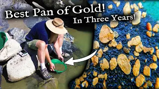 Best Single Gold pan in Three Years!  WOW!