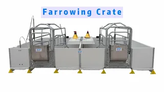 European-style welfare farrowing crate assembly process# Pig equipment,#pig