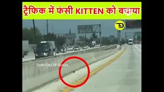 ट्रैफिक में फंसी kitten को बचाया 🐈kitten save rescue team #shorts #humanity #kittenrescue #kitten