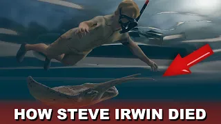 Steve Irwin Death Video (Footage Recreation)