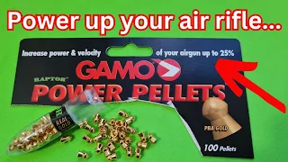 Gamo raptor high power air rifle pellet testing. lead free and real gold!