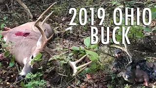 Big Buck DOWN!! Bowhunting Ohio Whitetail deer in October