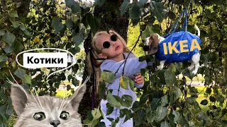 🐈‍⬛ВЫГУЛИВАЮ КОШКУ🏞ПАРК С КРАСИВЫМИ ВИДАМИ В ЛИТВЕ🛍IKEA🍫