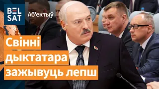 Лукашенко занялся улучшением жизни 🐷свиней / Объектив