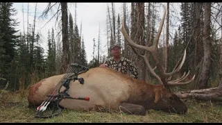 TOP 3 BIGGEST BULL ELK SHOT WITH A BOW! (compilation)