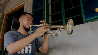 Fly Me To The Moon - Frank Sinatra (Trumpet) Cover 🎺